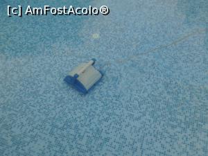 [P10] 'Robotelul' care curata fundul apei.  » foto by Florin 78
 - 
<span class="allrVoted glyphicon glyphicon-heart hidden" id="av860957"></span>
<a class="m-l-10 hidden" id="sv860957" onclick="voting_Foto_DelVot(,860957,18359)" role="button">șterge vot <span class="glyphicon glyphicon-remove"></span></a>
<a id="v9860957" class=" c-red"  onclick="voting_Foto_SetVot(860957)" role="button"><span class="glyphicon glyphicon-heart-empty"></span> <b>LIKE</b> = Votează poza</a> <img class="hidden"  id="f860957W9" src="/imagini/loader.gif" border="0" /><span class="AjErrMes hidden" id="e860957ErM"></span>