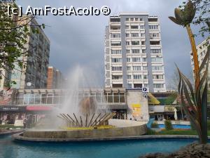 [P01] orasul pregatit de festivalul florilor » foto by Yolanda
 - 
<span class="allrVoted glyphicon glyphicon-heart hidden" id="av1065739"></span>
<a class="m-l-10 hidden" id="sv1065739" onclick="voting_Foto_DelVot(,1065739,18372)" role="button">șterge vot <span class="glyphicon glyphicon-remove"></span></a>
<a id="v91065739" class=" c-red"  onclick="voting_Foto_SetVot(1065739)" role="button"><span class="glyphicon glyphicon-heart-empty"></span> <b>LIKE</b> = Votează poza</a> <img class="hidden"  id="f1065739W9" src="/imagini/loader.gif" border="0" /><span class="AjErrMes hidden" id="e1065739ErM"></span>
