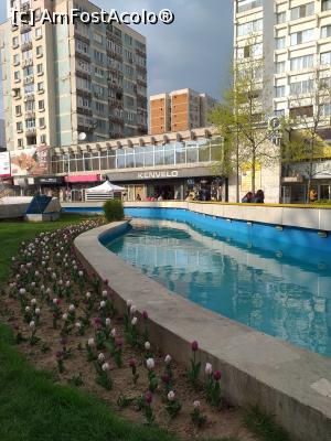 [P03] vremea rece întârzie inflorirea lalelelor » foto by Yolanda
 - 
<span class="allrVoted glyphicon glyphicon-heart hidden" id="av1065741"></span>
<a class="m-l-10 hidden" id="sv1065741" onclick="voting_Foto_DelVot(,1065741,18372)" role="button">șterge vot <span class="glyphicon glyphicon-remove"></span></a>
<a id="v91065741" class=" c-red"  onclick="voting_Foto_SetVot(1065741)" role="button"><span class="glyphicon glyphicon-heart-empty"></span> <b>LIKE</b> = Votează poza</a> <img class="hidden"  id="f1065741W9" src="/imagini/loader.gif" border="0" /><span class="AjErrMes hidden" id="e1065741ErM"></span>