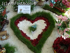 [P16] o inima florala din centrul expozitional -Casa Cartii » foto by mireille
 - 
<span class="allrVoted glyphicon glyphicon-heart hidden" id="av732221"></span>
<a class="m-l-10 hidden" id="sv732221" onclick="voting_Foto_DelVot(,732221,18372)" role="button">șterge vot <span class="glyphicon glyphicon-remove"></span></a>
<a id="v9732221" class=" c-red"  onclick="voting_Foto_SetVot(732221)" role="button"><span class="glyphicon glyphicon-heart-empty"></span> <b>LIKE</b> = Votează poza</a> <img class="hidden"  id="f732221W9" src="/imagini/loader.gif" border="0" /><span class="AjErrMes hidden" id="e732221ErM"></span>