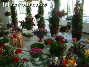 [P21] Aranjament floral la expozitia din Casa Cartii » foto by mireille
 - 
<span class="allrVoted glyphicon glyphicon-heart hidden" id="av732226"></span>
<a class="m-l-10 hidden" id="sv732226" onclick="voting_Foto_DelVot(,732226,18372)" role="button">șterge vot <span class="glyphicon glyphicon-remove"></span></a>
<a id="v9732226" class=" c-red"  onclick="voting_Foto_SetVot(732226)" role="button"><span class="glyphicon glyphicon-heart-empty"></span> <b>LIKE</b> = Votează poza</a> <img class="hidden"  id="f732226W9" src="/imagini/loader.gif" border="0" /><span class="AjErrMes hidden" id="e732226ErM"></span>