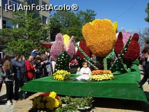 [P07] Al doilea car alegoric realizat cu ajutor olandez -tema lalelei » foto by mireille
 - 
<span class="allrVoted glyphicon glyphicon-heart hidden" id="av732212"></span>
<a class="m-l-10 hidden" id="sv732212" onclick="voting_Foto_DelVot(,732212,18372)" role="button">șterge vot <span class="glyphicon glyphicon-remove"></span></a>
<a id="v9732212" class=" c-red"  onclick="voting_Foto_SetVot(732212)" role="button"><span class="glyphicon glyphicon-heart-empty"></span> <b>LIKE</b> = Votează poza</a> <img class="hidden"  id="f732212W9" src="/imagini/loader.gif" border="0" /><span class="AjErrMes hidden" id="e732212ErM"></span>