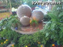 [P13] Pe langa flori, sunt folosite si alte 'artificii' pentru un stand cat mai diferit. » foto by Ellada_sagapo
 - 
<span class="allrVoted glyphicon glyphicon-heart hidden" id="av43822"></span>
<a class="m-l-10 hidden" id="sv43822" onclick="voting_Foto_DelVot(,43822,18372)" role="button">șterge vot <span class="glyphicon glyphicon-remove"></span></a>
<a id="v943822" class=" c-red"  onclick="voting_Foto_SetVot(43822)" role="button"><span class="glyphicon glyphicon-heart-empty"></span> <b>LIKE</b> = Votează poza</a> <img class="hidden"  id="f43822W9" src="/imagini/loader.gif" border="0" /><span class="AjErrMes hidden" id="e43822ErM"></span>