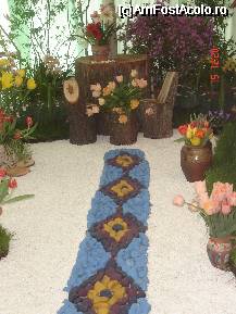 [P01] Expozitia florala - covor de pitra pentru domnisoarele lalele » foto by mariana.olaru
 - 
<span class="allrVoted glyphicon glyphicon-heart hidden" id="av61700"></span>
<a class="m-l-10 hidden" id="sv61700" onclick="voting_Foto_DelVot(,61700,18372)" role="button">șterge vot <span class="glyphicon glyphicon-remove"></span></a>
<a id="v961700" class=" c-red"  onclick="voting_Foto_SetVot(61700)" role="button"><span class="glyphicon glyphicon-heart-empty"></span> <b>LIKE</b> = Votează poza</a> <img class="hidden"  id="f61700W9" src="/imagini/loader.gif" border="0" /><span class="AjErrMes hidden" id="e61700ErM"></span>