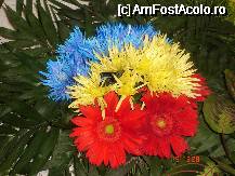 [P02] Detaliu din expozitia florala - tricolorul viu » foto by mariana.olaru
 - 
<span class="allrVoted glyphicon glyphicon-heart hidden" id="av61701"></span>
<a class="m-l-10 hidden" id="sv61701" onclick="voting_Foto_DelVot(,61701,18372)" role="button">șterge vot <span class="glyphicon glyphicon-remove"></span></a>
<a id="v961701" class=" c-red"  onclick="voting_Foto_SetVot(61701)" role="button"><span class="glyphicon glyphicon-heart-empty"></span> <b>LIKE</b> = Votează poza</a> <img class="hidden"  id="f61701W9" src="/imagini/loader.gif" border="0" /><span class="AjErrMes hidden" id="e61701ErM"></span>