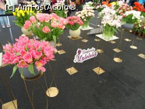 [P10] Culori și forme - expoziție interioară. » foto by tata123 🔱
 - 
<span class="allrVoted glyphicon glyphicon-heart hidden" id="av1291533"></span>
<a class="m-l-10 hidden" id="sv1291533" onclick="voting_Foto_DelVot(,1291533,18372)" role="button">șterge vot <span class="glyphicon glyphicon-remove"></span></a>
<a id="v91291533" class=" c-red"  onclick="voting_Foto_SetVot(1291533)" role="button"><span class="glyphicon glyphicon-heart-empty"></span> <b>LIKE</b> = Votează poza</a> <img class="hidden"  id="f1291533W9" src="/imagini/loader.gif" border="0" /><span class="AjErrMes hidden" id="e1291533ErM"></span>