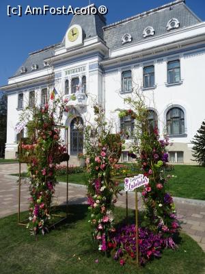 [P19] Primăria municipiului Pitești. » foto by tata123 🔱
 - 
<span class="allrVoted glyphicon glyphicon-heart hidden" id="av1291542"></span>
<a class="m-l-10 hidden" id="sv1291542" onclick="voting_Foto_DelVot(,1291542,18372)" role="button">șterge vot <span class="glyphicon glyphicon-remove"></span></a>
<a id="v91291542" class=" c-red"  onclick="voting_Foto_SetVot(1291542)" role="button"><span class="glyphicon glyphicon-heart-empty"></span> <b>LIKE</b> = Votează poza</a> <img class="hidden"  id="f1291542W9" src="/imagini/loader.gif" border="0" /><span class="AjErrMes hidden" id="e1291542ErM"></span>