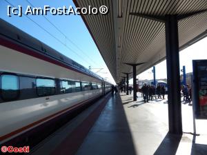 [P26] Peronul gării Toledo AVE » foto by Costi
 - 
<span class="allrVoted glyphicon glyphicon-heart hidden" id="av1062882"></span>
<a class="m-l-10 hidden" id="sv1062882" onclick="voting_Foto_DelVot(,1062882,18385)" role="button">șterge vot <span class="glyphicon glyphicon-remove"></span></a>
<a id="v91062882" class=" c-red"  onclick="voting_Foto_SetVot(1062882)" role="button"><span class="glyphicon glyphicon-heart-empty"></span> <b>LIKE</b> = Votează poza</a> <img class="hidden"  id="f1062882W9" src="/imagini/loader.gif" border="0" /><span class="AjErrMes hidden" id="e1062882ErM"></span>