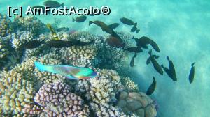 [P10]  -- <small>// FĂRĂ DESCRIERE</small> » foto by alice-eos
 - 
<span class="allrVoted glyphicon glyphicon-heart hidden" id="av1226261"></span>
<a class="m-l-10 hidden" id="sv1226261" onclick="voting_Foto_DelVot(,1226261,18389)" role="button">șterge vot <span class="glyphicon glyphicon-remove"></span></a>
<a id="v91226261" class=" c-red"  onclick="voting_Foto_SetVot(1226261)" role="button"><span class="glyphicon glyphicon-heart-empty"></span> <b>LIKE</b> = Votează poza</a> <img class="hidden"  id="f1226261W9" src="/imagini/loader.gif" border="0" /><span class="AjErrMes hidden" id="e1226261ErM"></span>