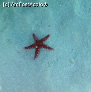 [P13]  -- <small>// FĂRĂ DESCRIERE</small> » foto by alice-eos
 - 
<span class="allrVoted glyphicon glyphicon-heart hidden" id="av1226264"></span>
<a class="m-l-10 hidden" id="sv1226264" onclick="voting_Foto_DelVot(,1226264,18389)" role="button">șterge vot <span class="glyphicon glyphicon-remove"></span></a>
<a id="v91226264" class=" c-red"  onclick="voting_Foto_SetVot(1226264)" role="button"><span class="glyphicon glyphicon-heart-empty"></span> <b>LIKE</b> = Votează poza</a> <img class="hidden"  id="f1226264W9" src="/imagini/loader.gif" border="0" /><span class="AjErrMes hidden" id="e1226264ErM"></span>