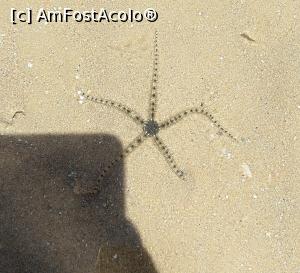 [P04]  -- <small>// FĂRĂ DESCRIERE</small> » foto by alice-eos
 - 
<span class="allrVoted glyphicon glyphicon-heart hidden" id="av1226255"></span>
<a class="m-l-10 hidden" id="sv1226255" onclick="voting_Foto_DelVot(,1226255,18389)" role="button">șterge vot <span class="glyphicon glyphicon-remove"></span></a>
<a id="v91226255" class=" c-red"  onclick="voting_Foto_SetVot(1226255)" role="button"><span class="glyphicon glyphicon-heart-empty"></span> <b>LIKE</b> = Votează poza</a> <img class="hidden"  id="f1226255W9" src="/imagini/loader.gif" border="0" /><span class="AjErrMes hidden" id="e1226255ErM"></span>