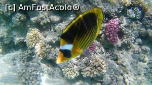 [P07]  -- <small>// FĂRĂ DESCRIERE</small> » foto by alice-eos
 - 
<span class="allrVoted glyphicon glyphicon-heart hidden" id="av1226258"></span>
<a class="m-l-10 hidden" id="sv1226258" onclick="voting_Foto_DelVot(,1226258,18389)" role="button">șterge vot <span class="glyphicon glyphicon-remove"></span></a>
<a id="v91226258" class=" c-red"  onclick="voting_Foto_SetVot(1226258)" role="button"><span class="glyphicon glyphicon-heart-empty"></span> <b>LIKE</b> = Votează poza</a> <img class="hidden"  id="f1226258W9" src="/imagini/loader.gif" border="0" /><span class="AjErrMes hidden" id="e1226258ErM"></span>