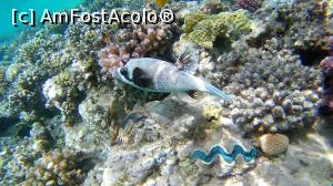 [P08]  -- <small>// FĂRĂ DESCRIERE</small> » foto by alice-eos
 - 
<span class="allrVoted glyphicon glyphicon-heart hidden" id="av1226259"></span>
<a class="m-l-10 hidden" id="sv1226259" onclick="voting_Foto_DelVot(,1226259,18389)" role="button">șterge vot <span class="glyphicon glyphicon-remove"></span></a>
<a id="v91226259" class=" c-red"  onclick="voting_Foto_SetVot(1226259)" role="button"><span class="glyphicon glyphicon-heart-empty"></span> <b>LIKE</b> = Votează poza</a> <img class="hidden"  id="f1226259W9" src="/imagini/loader.gif" border="0" /><span class="AjErrMes hidden" id="e1226259ErM"></span>