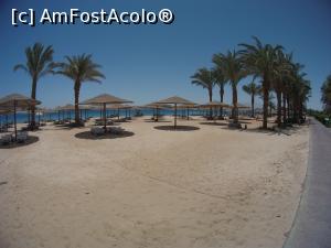 [P31] o parte din plaja la corpul din vest unde era mai putina lume » foto by elenaadina
 - 
<span class="allrVoted glyphicon glyphicon-heart hidden" id="av1223659"></span>
<a class="m-l-10 hidden" id="sv1223659" onclick="voting_Foto_DelVot(,1223659,18389)" role="button">șterge vot <span class="glyphicon glyphicon-remove"></span></a>
<a id="v91223659" class=" c-red"  onclick="voting_Foto_SetVot(1223659)" role="button"><span class="glyphicon glyphicon-heart-empty"></span> <b>LIKE</b> = Votează poza</a> <img class="hidden"  id="f1223659W9" src="/imagini/loader.gif" border="0" /><span class="AjErrMes hidden" id="e1223659ErM"></span>