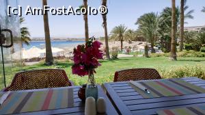 [P33] vedere de pe terassa de la <strong>Club 159 </strong> » foto by elenaadina
 - 
<span class="allrVoted glyphicon glyphicon-heart hidden" id="av1223661"></span>
<a class="m-l-10 hidden" id="sv1223661" onclick="voting_Foto_DelVot(,1223661,18389)" role="button">șterge vot <span class="glyphicon glyphicon-remove"></span></a>
<a id="v91223661" class=" c-red"  onclick="voting_Foto_SetVot(1223661)" role="button"><span class="glyphicon glyphicon-heart-empty"></span> <b>LIKE</b> = Votează poza</a> <img class="hidden"  id="f1223661W9" src="/imagini/loader.gif" border="0" /><span class="AjErrMes hidden" id="e1223661ErM"></span>