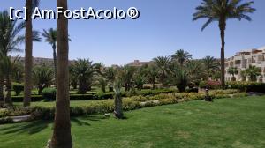 [P37] gradina din apropiere de <strong>Club 159</strong> » foto by elenaadina
 - 
<span class="allrVoted glyphicon glyphicon-heart hidden" id="av1223665"></span>
<a class="m-l-10 hidden" id="sv1223665" onclick="voting_Foto_DelVot(,1223665,18389)" role="button">șterge vot <span class="glyphicon glyphicon-remove"></span></a>
<a id="v91223665" class=" c-red"  onclick="voting_Foto_SetVot(1223665)" role="button"><span class="glyphicon glyphicon-heart-empty"></span> <b>LIKE</b> = Votează poza</a> <img class="hidden"  id="f1223665W9" src="/imagini/loader.gif" border="0" /><span class="AjErrMes hidden" id="e1223665ErM"></span>