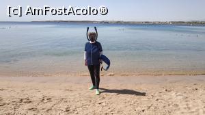 [P42] pregatita de snorkeling » foto by elenaadina
 - 
<span class="allrVoted glyphicon glyphicon-heart hidden" id="av1223670"></span>
<a class="m-l-10 hidden" id="sv1223670" onclick="voting_Foto_DelVot(,1223670,18389)" role="button">șterge vot <span class="glyphicon glyphicon-remove"></span></a>
<a id="v91223670" class=" c-red"  onclick="voting_Foto_SetVot(1223670)" role="button"><span class="glyphicon glyphicon-heart-empty"></span> <b>LIKE</b> = Votează poza</a> <img class="hidden"  id="f1223670W9" src="/imagini/loader.gif" border="0" /><span class="AjErrMes hidden" id="e1223670ErM"></span>