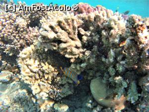 [P09] o lume minunata » foto by elenaadina
 - 
<span class="allrVoted glyphicon glyphicon-heart hidden" id="av1115789"></span>
<a class="m-l-10 hidden" id="sv1115789" onclick="voting_Foto_DelVot(,1115789,18389)" role="button">șterge vot <span class="glyphicon glyphicon-remove"></span></a>
<a id="v91115789" class=" c-red"  onclick="voting_Foto_SetVot(1115789)" role="button"><span class="glyphicon glyphicon-heart-empty"></span> <b>LIKE</b> = Votează poza</a> <img class="hidden"  id="f1115789W9" src="/imagini/loader.gif" border="0" /><span class="AjErrMes hidden" id="e1115789ErM"></span>