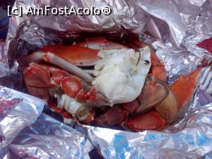 [P15] Si un crab albastru mancat direct la botu'... navei.  » foto by adriana76
 - 
<span class="allrVoted glyphicon glyphicon-heart hidden" id="av865768"></span>
<a class="m-l-10 hidden" id="sv865768" onclick="voting_Foto_DelVot(,865768,18395)" role="button">șterge vot <span class="glyphicon glyphicon-remove"></span></a>
<a id="v9865768" class=" c-red"  onclick="voting_Foto_SetVot(865768)" role="button"><span class="glyphicon glyphicon-heart-empty"></span> <b>LIKE</b> = Votează poza</a> <img class="hidden"  id="f865768W9" src="/imagini/loader.gif" border="0" /><span class="AjErrMes hidden" id="e865768ErM"></span>