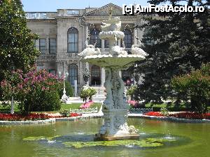 [P19] Gradinile Palatului Dalmabahce » foto by vlado2
 - 
<span class="allrVoted glyphicon glyphicon-heart hidden" id="av455010"></span>
<a class="m-l-10 hidden" id="sv455010" onclick="voting_Foto_DelVot(,455010,18396)" role="button">șterge vot <span class="glyphicon glyphicon-remove"></span></a>
<a id="v9455010" class=" c-red"  onclick="voting_Foto_SetVot(455010)" role="button"><span class="glyphicon glyphicon-heart-empty"></span> <b>LIKE</b> = Votează poza</a> <img class="hidden"  id="f455010W9" src="/imagini/loader.gif" border="0" /><span class="AjErrMes hidden" id="e455010ErM"></span>