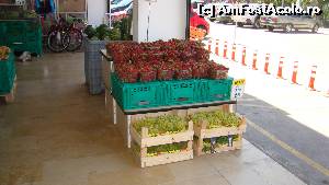 [P39] la noi nu am vazut asa ceva... la supermarket » foto by kelyboy
 - 
<span class="allrVoted glyphicon glyphicon-heart hidden" id="av584821"></span>
<a class="m-l-10 hidden" id="sv584821" onclick="voting_Foto_DelVot(,584821,18406)" role="button">șterge vot <span class="glyphicon glyphicon-remove"></span></a>
<a id="v9584821" class=" c-red"  onclick="voting_Foto_SetVot(584821)" role="button"><span class="glyphicon glyphicon-heart-empty"></span> <b>LIKE</b> = Votează poza</a> <img class="hidden"  id="f584821W9" src="/imagini/loader.gif" border="0" /><span class="AjErrMes hidden" id="e584821ErM"></span>