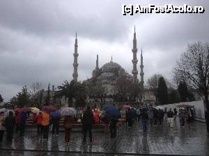 [P12] Poate să ningă, poate să plouă, nu ne pasă că avem umbrelă nouă » foto by mauricius*
 - 
<span class="allrVoted glyphicon glyphicon-heart hidden" id="av417217"></span>
<a class="m-l-10 hidden" id="sv417217" onclick="voting_Foto_DelVot(,417217,18417)" role="button">șterge vot <span class="glyphicon glyphicon-remove"></span></a>
<a id="v9417217" class=" c-red"  onclick="voting_Foto_SetVot(417217)" role="button"><span class="glyphicon glyphicon-heart-empty"></span> <b>LIKE</b> = Votează poza</a> <img class="hidden"  id="f417217W9" src="/imagini/loader.gif" border="0" /><span class="AjErrMes hidden" id="e417217ErM"></span>