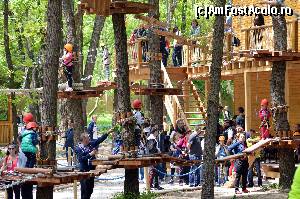 [P22] Puțină coadă pentru traseul destinat piticilor » foto by pepsi70ro
 - 
<span class="allrVoted glyphicon glyphicon-heart hidden" id="av617596"></span>
<a class="m-l-10 hidden" id="sv617596" onclick="voting_Foto_DelVot(,617596,18423)" role="button">șterge vot <span class="glyphicon glyphicon-remove"></span></a>
<a id="v9617596" class=" c-red"  onclick="voting_Foto_SetVot(617596)" role="button"><span class="glyphicon glyphicon-heart-empty"></span> <b>LIKE</b> = Votează poza</a> <img class="hidden"  id="f617596W9" src="/imagini/loader.gif" border="0" /><span class="AjErrMes hidden" id="e617596ErM"></span>