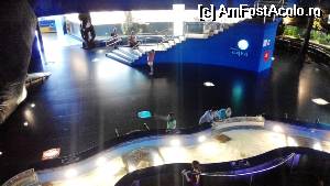 [P21] Acvariul din Barcelona - imagine de ansamblu a salii unde erau pinguinii si pisicile de mare » foto by cdiana
 - 
<span class="allrVoted glyphicon glyphicon-heart hidden" id="av531675"></span>
<a class="m-l-10 hidden" id="sv531675" onclick="voting_Foto_DelVot(,531675,18436)" role="button">șterge vot <span class="glyphicon glyphicon-remove"></span></a>
<a id="v9531675" class=" c-red"  onclick="voting_Foto_SetVot(531675)" role="button"><span class="glyphicon glyphicon-heart-empty"></span> <b>LIKE</b> = Votează poza</a> <img class="hidden"  id="f531675W9" src="/imagini/loader.gif" border="0" /><span class="AjErrMes hidden" id="e531675ErM"></span>
