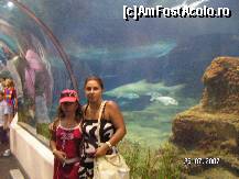 [P22] Asa arata tunelul din acvariul principal din Barcelona (poza este cam miscata) » foto by ileanaxperta*
 - 
<span class="allrVoted glyphicon glyphicon-heart hidden" id="av41323"></span>
<a class="m-l-10 hidden" id="sv41323" onclick="voting_Foto_DelVot(,41323,18436)" role="button">șterge vot <span class="glyphicon glyphicon-remove"></span></a>
<a id="v941323" class=" c-red"  onclick="voting_Foto_SetVot(41323)" role="button"><span class="glyphicon glyphicon-heart-empty"></span> <b>LIKE</b> = Votează poza</a> <img class="hidden"  id="f41323W9" src="/imagini/loader.gif" border="0" /><span class="AjErrMes hidden" id="e41323ErM"></span>