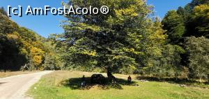 [P41] Pe <strong>Valea Râului Slatina.</strong> » foto by Aurici
 - 
<span class="allrVoted glyphicon glyphicon-heart hidden" id="av1287362"></span>
<a class="m-l-10 hidden" id="sv1287362" onclick="voting_Foto_DelVot(,1287362,18441)" role="button">șterge vot <span class="glyphicon glyphicon-remove"></span></a>
<a id="v91287362" class=" c-red"  onclick="voting_Foto_SetVot(1287362)" role="button"><span class="glyphicon glyphicon-heart-empty"></span> <b>LIKE</b> = Votează poza</a> <img class="hidden"  id="f1287362W9" src="/imagini/loader.gif" border="0" /><span class="AjErrMes hidden" id="e1287362ErM"></span>