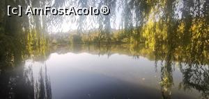 [P44] Lacul Învârtita, Nucșoara. » foto by Aurici
 - 
<span class="allrVoted glyphicon glyphicon-heart hidden" id="av1287365"></span>
<a class="m-l-10 hidden" id="sv1287365" onclick="voting_Foto_DelVot(,1287365,18441)" role="button">șterge vot <span class="glyphicon glyphicon-remove"></span></a>
<a id="v91287365" class=" c-red"  onclick="voting_Foto_SetVot(1287365)" role="button"><span class="glyphicon glyphicon-heart-empty"></span> <b>LIKE</b> = Votează poza</a> <img class="hidden"  id="f1287365W9" src="/imagini/loader.gif" border="0" /><span class="AjErrMes hidden" id="e1287365ErM"></span>