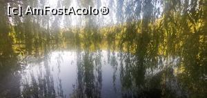 [P45] Lacul Învârtita, Nucșoara. » foto by Aurici
 - 
<span class="allrVoted glyphicon glyphicon-heart hidden" id="av1287366"></span>
<a class="m-l-10 hidden" id="sv1287366" onclick="voting_Foto_DelVot(,1287366,18441)" role="button">șterge vot <span class="glyphicon glyphicon-remove"></span></a>
<a id="v91287366" class=" c-red"  onclick="voting_Foto_SetVot(1287366)" role="button"><span class="glyphicon glyphicon-heart-empty"></span> <b>LIKE</b> = Votează poza</a> <img class="hidden"  id="f1287366W9" src="/imagini/loader.gif" border="0" /><span class="AjErrMes hidden" id="e1287366ErM"></span>