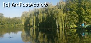 [P46] Lacul Învârtita, Nucșoara. » foto by Aurici
 - 
<span class="allrVoted glyphicon glyphicon-heart hidden" id="av1287367"></span>
<a class="m-l-10 hidden" id="sv1287367" onclick="voting_Foto_DelVot(,1287367,18441)" role="button">șterge vot <span class="glyphicon glyphicon-remove"></span></a>
<a id="v91287367" class=" c-red"  onclick="voting_Foto_SetVot(1287367)" role="button"><span class="glyphicon glyphicon-heart-empty"></span> <b>LIKE</b> = Votează poza</a> <img class="hidden"  id="f1287367W9" src="/imagini/loader.gif" border="0" /><span class="AjErrMes hidden" id="e1287367ErM"></span>