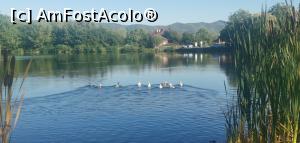[P49] Lacul Învârtita, Nucșoara. » foto by Aurici
 - 
<span class="allrVoted glyphicon glyphicon-heart hidden" id="av1287370"></span>
<a class="m-l-10 hidden" id="sv1287370" onclick="voting_Foto_DelVot(,1287370,18441)" role="button">șterge vot <span class="glyphicon glyphicon-remove"></span></a>
<a id="v91287370" class=" c-red"  onclick="voting_Foto_SetVot(1287370)" role="button"><span class="glyphicon glyphicon-heart-empty"></span> <b>LIKE</b> = Votează poza</a> <img class="hidden"  id="f1287370W9" src="/imagini/loader.gif" border="0" /><span class="AjErrMes hidden" id="e1287370ErM"></span>