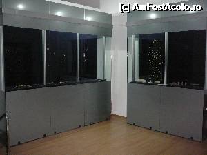 [P53] A doua camera a Tezaurului -vitrine cu podoabe si bijuterii » foto by Claudiu U.
 - 
<span class="allrVoted glyphicon glyphicon-heart hidden" id="av363922"></span>
<a class="m-l-10 hidden" id="sv363922" onclick="voting_Foto_DelVot(,363922,18445)" role="button">șterge vot <span class="glyphicon glyphicon-remove"></span></a>
<a id="v9363922" class=" c-red"  onclick="voting_Foto_SetVot(363922)" role="button"><span class="glyphicon glyphicon-heart-empty"></span> <b>LIKE</b> = Votează poza</a> <img class="hidden"  id="f363922W9" src="/imagini/loader.gif" border="0" /><span class="AjErrMes hidden" id="e363922ErM"></span>