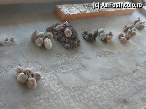 [P12] O ultima privire catre exponate » foto by Claudiu U.
 - 
<span class="allrVoted glyphicon glyphicon-heart hidden" id="av365680"></span>
<a class="m-l-10 hidden" id="sv365680" onclick="voting_Foto_DelVot(,365680,18445)" role="button">șterge vot <span class="glyphicon glyphicon-remove"></span></a>
<a id="v9365680" class=" c-red"  onclick="voting_Foto_SetVot(365680)" role="button"><span class="glyphicon glyphicon-heart-empty"></span> <b>LIKE</b> = Votează poza</a> <img class="hidden"  id="f365680W9" src="/imagini/loader.gif" border="0" /><span class="AjErrMes hidden" id="e365680ErM"></span>