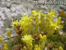 [P10] Cetatea Enisala - natura reînviată » foto by Dragoș_MD
 - 
<span class="allrVoted glyphicon glyphicon-heart hidden" id="av105945"></span>
<a class="m-l-10 hidden" id="sv105945" onclick="voting_Foto_DelVot(,105945,18448)" role="button">șterge vot <span class="glyphicon glyphicon-remove"></span></a>
<a id="v9105945" class=" c-red"  onclick="voting_Foto_SetVot(105945)" role="button"><span class="glyphicon glyphicon-heart-empty"></span> <b>LIKE</b> = Votează poza</a> <img class="hidden"  id="f105945W9" src="/imagini/loader.gif" border="0" /><span class="AjErrMes hidden" id="e105945ErM"></span>