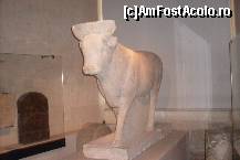 [P08] Taurul alb Apis, simbol al fertilităţii » foto by Ovidiu istorie
 - 
<span class="allrVoted glyphicon glyphicon-heart hidden" id="av319888"></span>
<a class="m-l-10 hidden" id="sv319888" onclick="voting_Foto_DelVot(,319888,18451)" role="button">șterge vot <span class="glyphicon glyphicon-remove"></span></a>
<a id="v9319888" class=" c-red"  onclick="voting_Foto_SetVot(319888)" role="button"><span class="glyphicon glyphicon-heart-empty"></span> <b>LIKE</b> = Votează poza</a> <img class="hidden"  id="f319888W9" src="/imagini/loader.gif" border="0" /><span class="AjErrMes hidden" id="e319888ErM"></span>