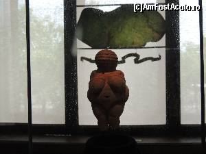 [P12] Celebra sculptura preistorica nu este o frumusete de Venus dar este foarte batrana 25000 de ani. 
Inca odata proverbul'Gaina batrana face ciorba buna'se adevereste :)  » foto by claudiu 71
 - 
<span class="allrVoted glyphicon glyphicon-heart hidden" id="av619485"></span>
<a class="m-l-10 hidden" id="sv619485" onclick="voting_Foto_DelVot(,619485,18455)" role="button">șterge vot <span class="glyphicon glyphicon-remove"></span></a>
<a id="v9619485" class=" c-red"  onclick="voting_Foto_SetVot(619485)" role="button"><span class="glyphicon glyphicon-heart-empty"></span> <b>LIKE</b> = Votează poza</a> <img class="hidden"  id="f619485W9" src="/imagini/loader.gif" border="0" /><span class="AjErrMes hidden" id="e619485ErM"></span>