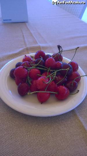 [P09]  -- <small>// FĂRĂ DESCRIERE</small> » foto by alice-eos
 - 
<span class="allrVoted glyphicon glyphicon-heart hidden" id="av631791"></span>
<a class="m-l-10 hidden" id="sv631791" onclick="voting_Foto_DelVot(,631791,18472)" role="button">șterge vot <span class="glyphicon glyphicon-remove"></span></a>
<a id="v9631791" class=" c-red"  onclick="voting_Foto_SetVot(631791)" role="button"><span class="glyphicon glyphicon-heart-empty"></span> <b>LIKE</b> = Votează poza</a> <img class="hidden"  id="f631791W9" src="/imagini/loader.gif" border="0" /><span class="AjErrMes hidden" id="e631791ErM"></span>