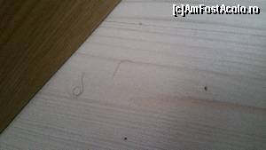[P02]  -- <small>// FĂRĂ DESCRIERE</small> » foto by viogantner
 - 
<span class="allrVoted glyphicon glyphicon-heart hidden" id="av670612"></span>
<a class="m-l-10 hidden" id="sv670612" onclick="voting_Foto_DelVot(,670612,18472)" role="button">șterge vot <span class="glyphicon glyphicon-remove"></span></a>
<a id="v9670612" class=" c-red"  onclick="voting_Foto_SetVot(670612)" role="button"><span class="glyphicon glyphicon-heart-empty"></span> <b>LIKE</b> = Votează poza</a> <img class="hidden"  id="f670612W9" src="/imagini/loader.gif" border="0" /><span class="AjErrMes hidden" id="e670612ErM"></span>