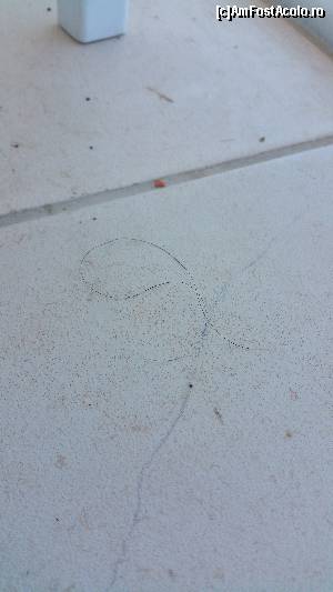 [P03]  -- <small>// FĂRĂ DESCRIERE</small> » foto by viogantner
 - 
<span class="allrVoted glyphicon glyphicon-heart hidden" id="av670613"></span>
<a class="m-l-10 hidden" id="sv670613" onclick="voting_Foto_DelVot(,670613,18472)" role="button">șterge vot <span class="glyphicon glyphicon-remove"></span></a>
<a id="v9670613" class=" c-red"  onclick="voting_Foto_SetVot(670613)" role="button"><span class="glyphicon glyphicon-heart-empty"></span> <b>LIKE</b> = Votează poza</a> <img class="hidden"  id="f670613W9" src="/imagini/loader.gif" border="0" /><span class="AjErrMes hidden" id="e670613ErM"></span>