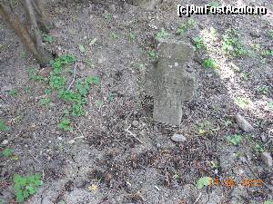 [P31] Mănăstirea Comana - Crucile din vechiul cimitir ostăşesc decorează partea dreaptă a aleii.  » foto by iulianic
 - 
<span class="allrVoted glyphicon glyphicon-heart hidden" id="av619446"></span>
<a class="m-l-10 hidden" id="sv619446" onclick="voting_Foto_DelVot(,619446,18496)" role="button">șterge vot <span class="glyphicon glyphicon-remove"></span></a>
<a id="v9619446" class=" c-red"  onclick="voting_Foto_SetVot(619446)" role="button"><span class="glyphicon glyphicon-heart-empty"></span> <b>LIKE</b> = Votează poza</a> <img class="hidden"  id="f619446W9" src="/imagini/loader.gif" border="0" /><span class="AjErrMes hidden" id="e619446ErM"></span>