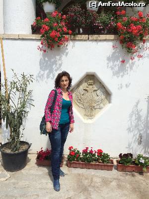 [P02]  -- <small>// FĂRĂ DESCRIERE</small> » foto by marian_buc
 - 
<span class="allrVoted glyphicon glyphicon-heart hidden" id="av620675"></span>
<a class="m-l-10 hidden" id="sv620675" onclick="voting_Foto_DelVot(,620675,18496)" role="button">șterge vot <span class="glyphicon glyphicon-remove"></span></a>
<a id="v9620675" class=" c-red"  onclick="voting_Foto_SetVot(620675)" role="button"><span class="glyphicon glyphicon-heart-empty"></span> <b>LIKE</b> = Votează poza</a> <img class="hidden"  id="f620675W9" src="/imagini/loader.gif" border="0" /><span class="AjErrMes hidden" id="e620675ErM"></span>