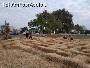 [P13] Zona de relaxare a festivalului, cu labirintul din baloți de paie.  » foto by Floryn81
 - 
<span class="allrVoted glyphicon glyphicon-heart hidden" id="av1112776"></span>
<a class="m-l-10 hidden" id="sv1112776" onclick="voting_Foto_DelVot(,1112776,18497)" role="button">șterge vot <span class="glyphicon glyphicon-remove"></span></a>
<a id="v91112776" class=" c-red"  onclick="voting_Foto_SetVot(1112776)" role="button"><span class="glyphicon glyphicon-heart-empty"></span> <b>LIKE</b> = Votează poza</a> <img class="hidden"  id="f1112776W9" src="/imagini/loader.gif" border="0" /><span class="AjErrMes hidden" id="e1112776ErM"></span>