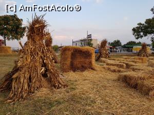 [P14] Festivalul ”Zilele Dovleacului”, ediția 2019, localitatea Poșta Câlnău, județul Buzău.  » foto by Floryn81
 - 
<span class="allrVoted glyphicon glyphicon-heart hidden" id="av1112777"></span>
<a class="m-l-10 hidden" id="sv1112777" onclick="voting_Foto_DelVot(,1112777,18497)" role="button">șterge vot <span class="glyphicon glyphicon-remove"></span></a>
<a id="v91112777" class=" c-red"  onclick="voting_Foto_SetVot(1112777)" role="button"><span class="glyphicon glyphicon-heart-empty"></span> <b>LIKE</b> = Votează poza</a> <img class="hidden"  id="f1112777W9" src="/imagini/loader.gif" border="0" /><span class="AjErrMes hidden" id="e1112777ErM"></span>