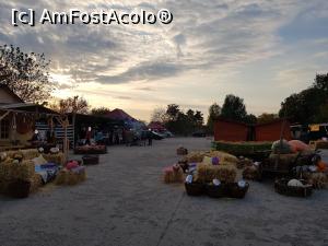 [P02] Festivalul ”Zilele Dovleacului”, ediția 2019, localitatea Poșta Câlnău, județul Buzău.  » foto by Floryn81
 - 
<span class="allrVoted glyphicon glyphicon-heart hidden" id="av1112761"></span>
<a class="m-l-10 hidden" id="sv1112761" onclick="voting_Foto_DelVot(,1112761,18497)" role="button">șterge vot <span class="glyphicon glyphicon-remove"></span></a>
<a id="v91112761" class=" c-red"  onclick="voting_Foto_SetVot(1112761)" role="button"><span class="glyphicon glyphicon-heart-empty"></span> <b>LIKE</b> = Votează poza</a> <img class="hidden"  id="f1112761W9" src="/imagini/loader.gif" border="0" /><span class="AjErrMes hidden" id="e1112761ErM"></span>