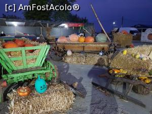 [P20] Festivalul ”Zilele Dovleacului”, ediția 2019, localitatea Poșta Câlnău, județul Buzău.  » foto by Floryn81
 - 
<span class="allrVoted glyphicon glyphicon-heart hidden" id="av1112784"></span>
<a class="m-l-10 hidden" id="sv1112784" onclick="voting_Foto_DelVot(,1112784,18497)" role="button">șterge vot <span class="glyphicon glyphicon-remove"></span></a>
<a id="v91112784" class=" c-red"  onclick="voting_Foto_SetVot(1112784)" role="button"><span class="glyphicon glyphicon-heart-empty"></span> <b>LIKE</b> = Votează poza</a> <img class="hidden"  id="f1112784W9" src="/imagini/loader.gif" border="0" /><span class="AjErrMes hidden" id="e1112784ErM"></span>