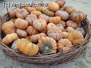 [P08] Festivalul ”Zilele Dovleacului”, ediția 2019, localitatea Poșta Câlnău, județul Buzău.  » foto by Floryn81
 - 
<span class="allrVoted glyphicon glyphicon-heart hidden" id="av1112769"></span>
<a class="m-l-10 hidden" id="sv1112769" onclick="voting_Foto_DelVot(,1112769,18497)" role="button">șterge vot <span class="glyphicon glyphicon-remove"></span></a>
<a id="v91112769" class=" c-red"  onclick="voting_Foto_SetVot(1112769)" role="button"><span class="glyphicon glyphicon-heart-empty"></span> <b>LIKE</b> = Votează poza</a> <img class="hidden"  id="f1112769W9" src="/imagini/loader.gif" border="0" /><span class="AjErrMes hidden" id="e1112769ErM"></span>