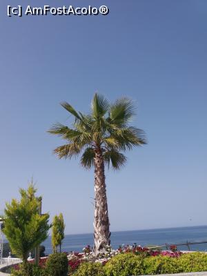 [P16] Priveliste din baldachin » foto by docsimo
 - 
<span class="allrVoted glyphicon glyphicon-heart hidden" id="av860309"></span>
<a class="m-l-10 hidden" id="sv860309" onclick="voting_Foto_DelVot(,860309,18500)" role="button">șterge vot <span class="glyphicon glyphicon-remove"></span></a>
<a id="v9860309" class=" c-red"  onclick="voting_Foto_SetVot(860309)" role="button"><span class="glyphicon glyphicon-heart-empty"></span> <b>LIKE</b> = Votează poza</a> <img class="hidden"  id="f860309W9" src="/imagini/loader.gif" border="0" /><span class="AjErrMes hidden" id="e860309ErM"></span>
